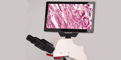 顯示屏.png 顯示屏.png