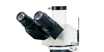 觀察頭.jpg 觀察頭.jpg