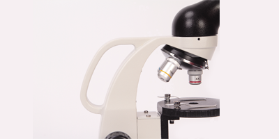 2把手.png 2把手.png